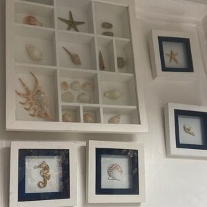 White and Blue Shadow Box Wall Decor Set